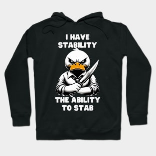 I Have Stability Hoodie